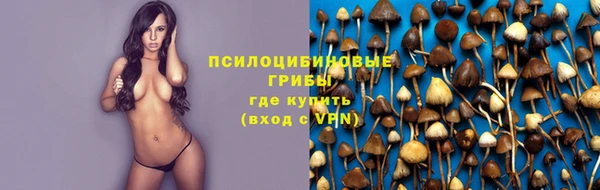 молекула духа Богданович