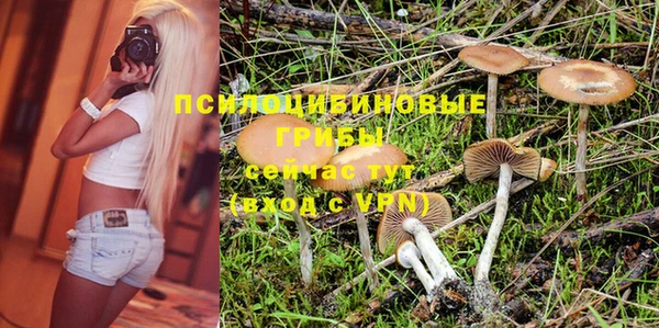 метадон Богородицк