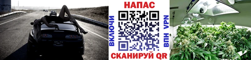 кракен ссылки  Верхняя Пышма  Каннабис марихуана 